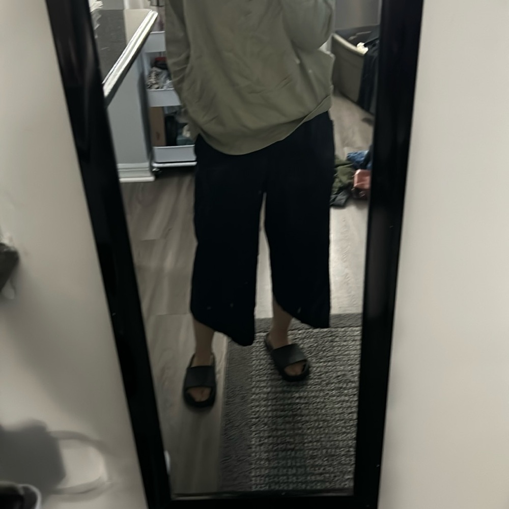 Zara pants